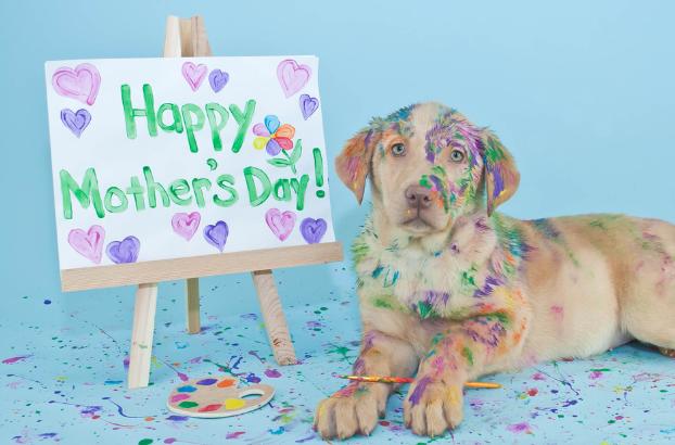 Mother's Day Gift Card