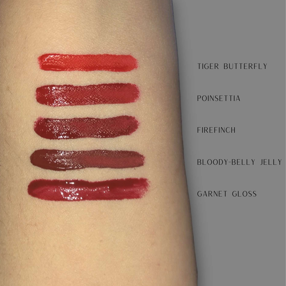 Enchantment Lip Set 6