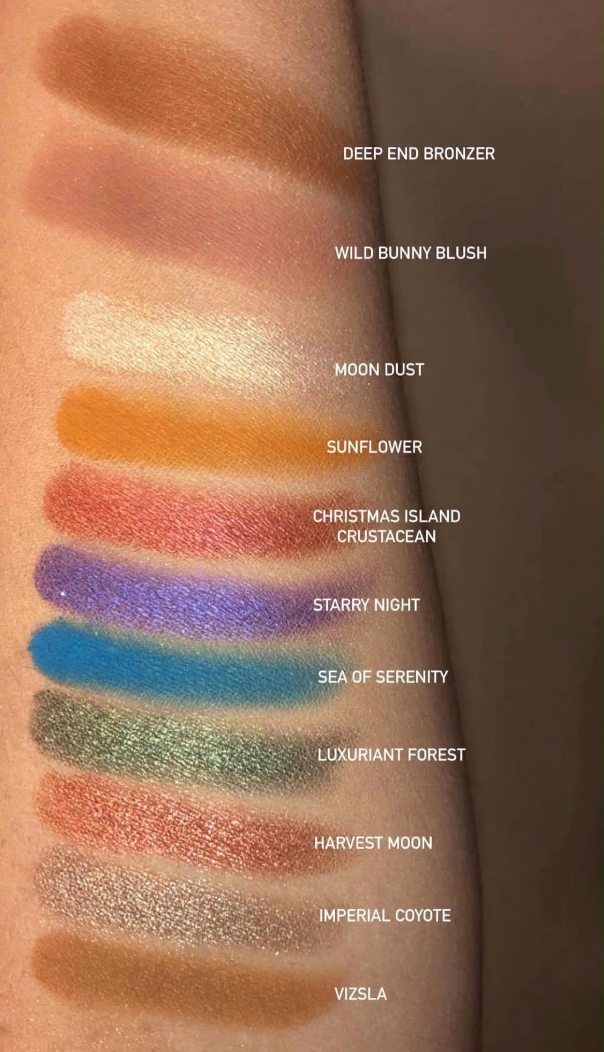 Color swatches on a skin surface with labeled names